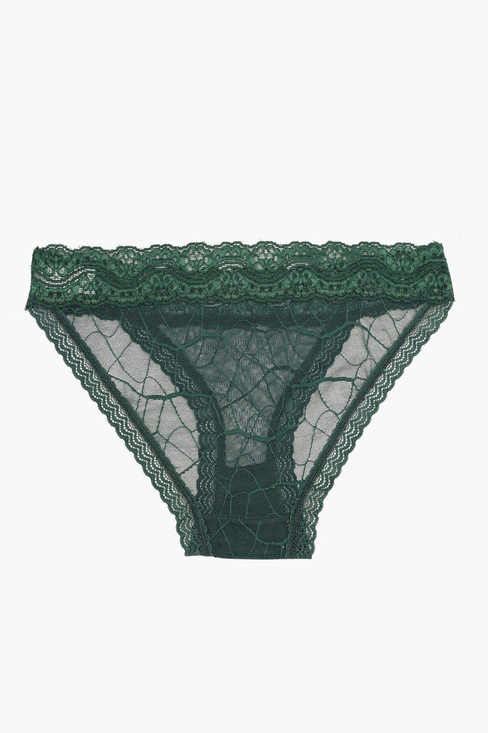Essential Lace Bikini Panty