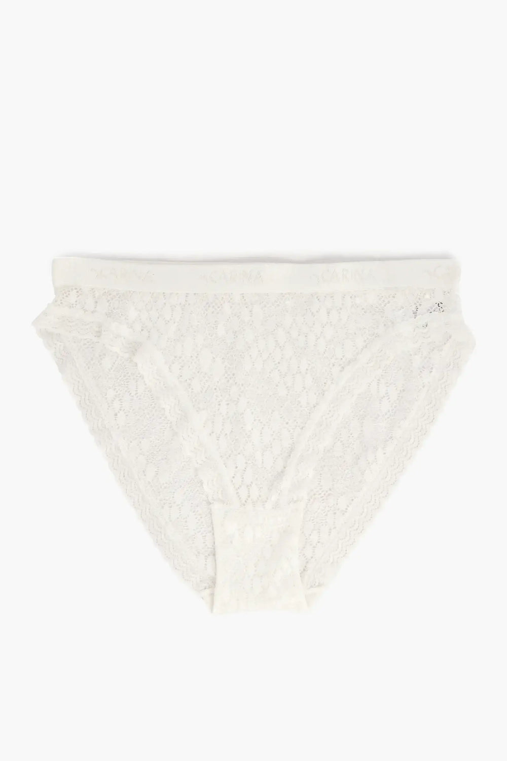 Elegance Lace Brief Panty