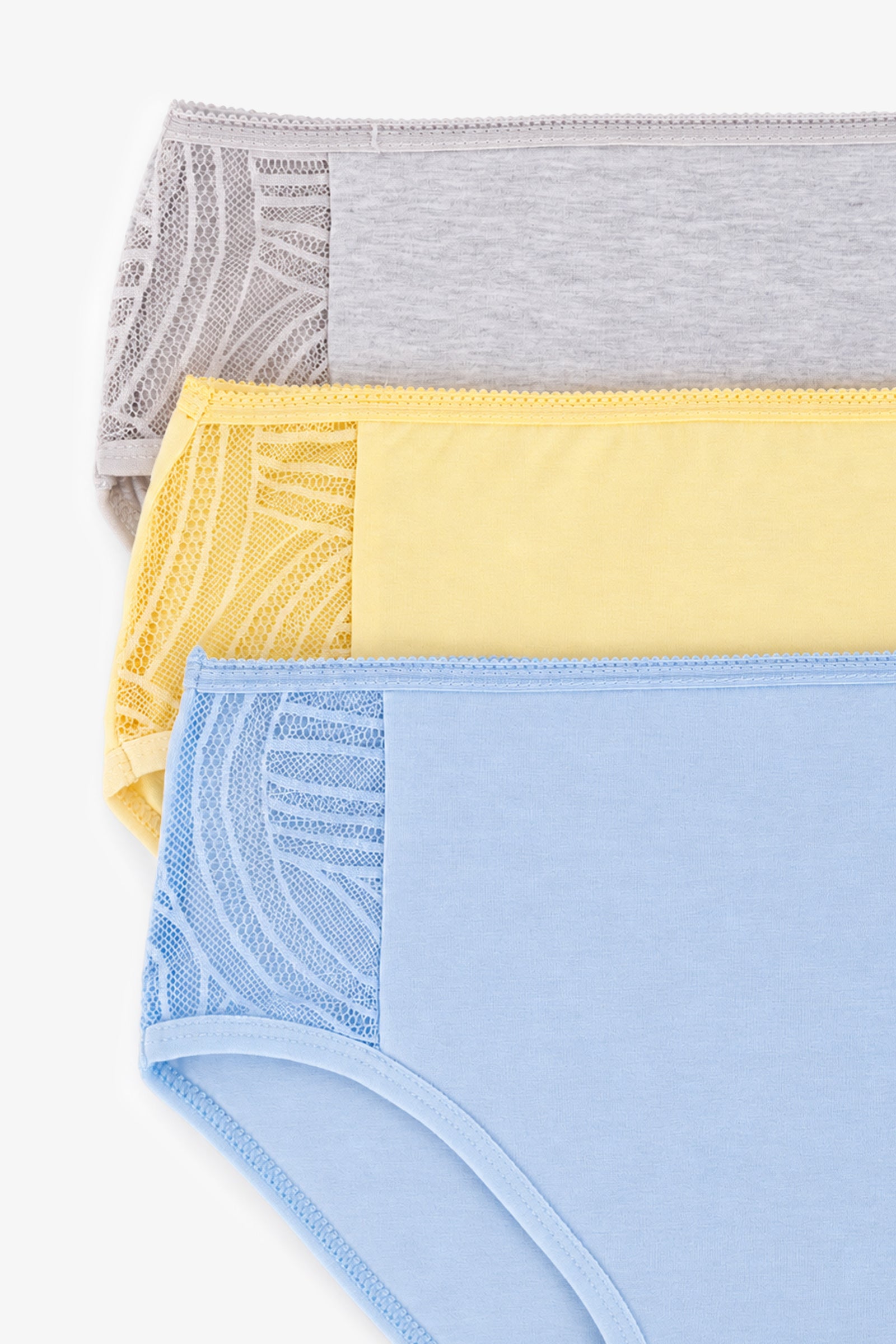 Pack of 3 Colored Brief Panties