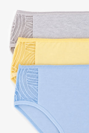 Pack of 3 Colored Brief Panties
