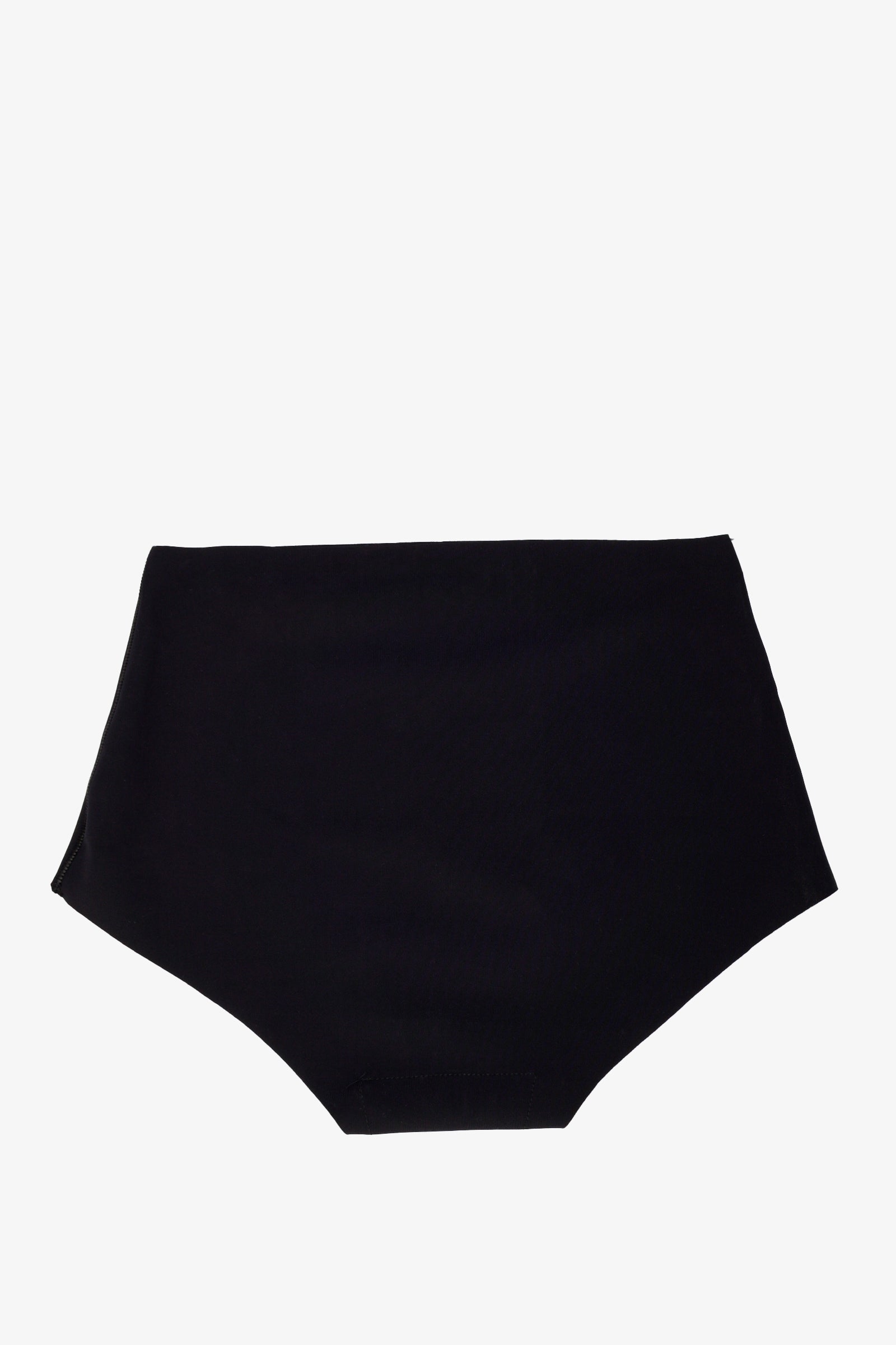 Seamless Brief Panty