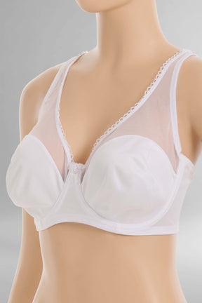 Tulle-Panel Minimizer Bra