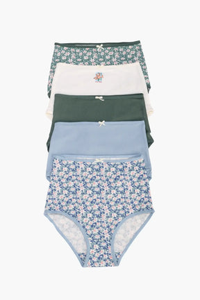 Pack of 5 Colored Full Brief Panties