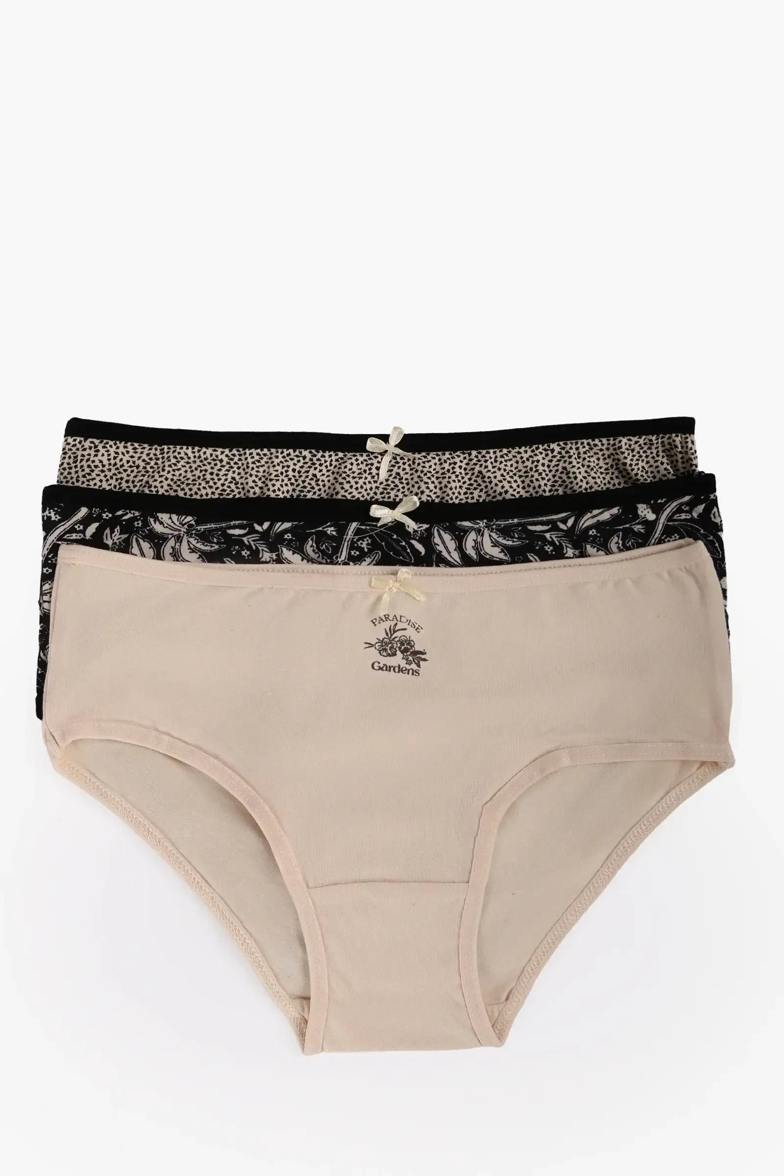 Pack of 3 Colored Brief Panties