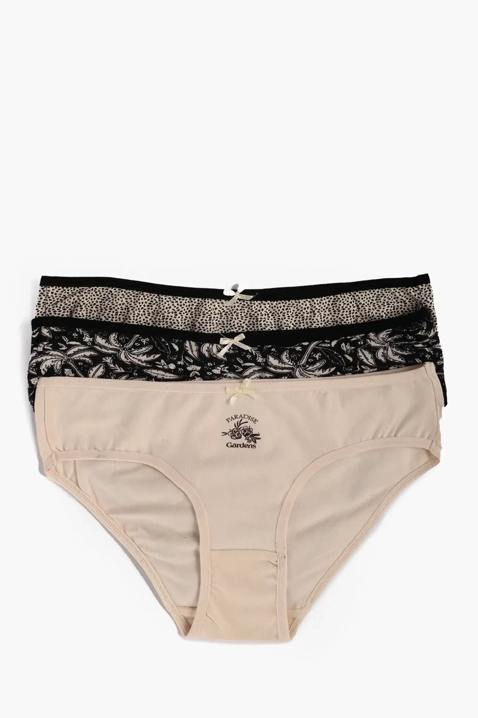 Pack of 3 Colored Bikini Panties