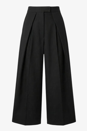 Wide-Leg Pleated Pants