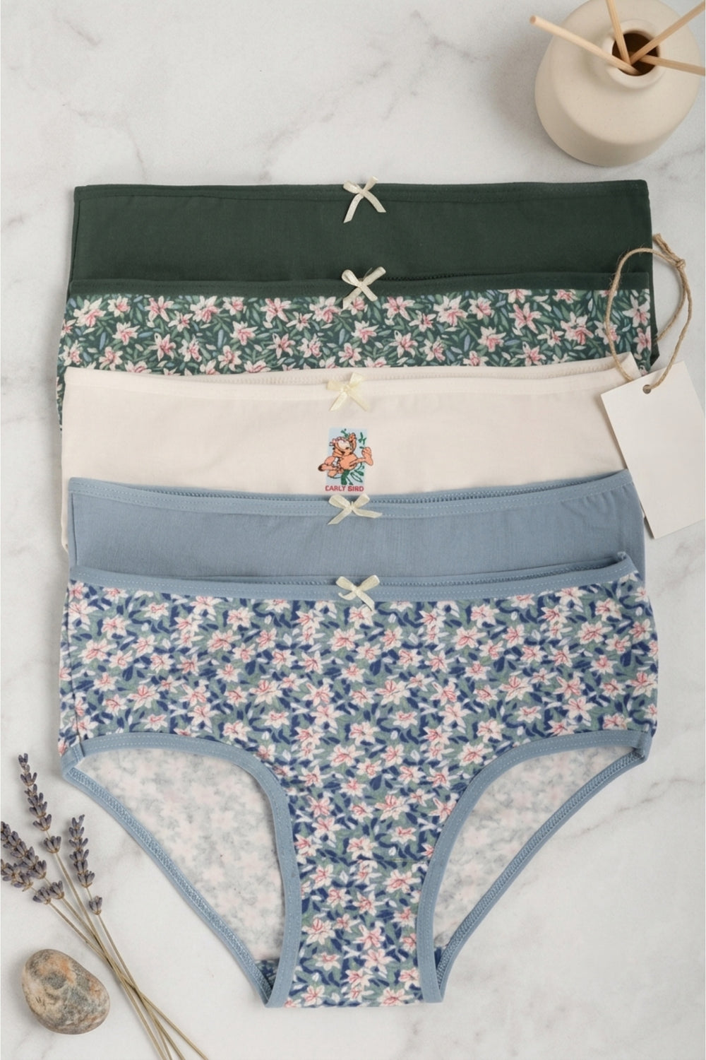 Pack of 5 Colored Brief Panties