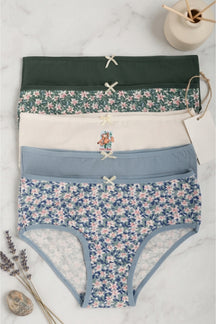 Pack of 5 Colored Brief Panties