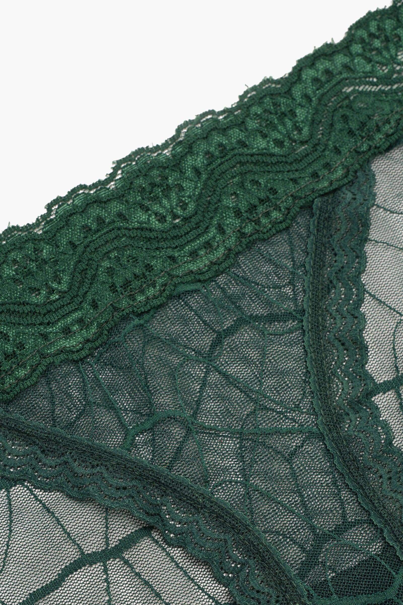 Essential Lace Bikini Panty
