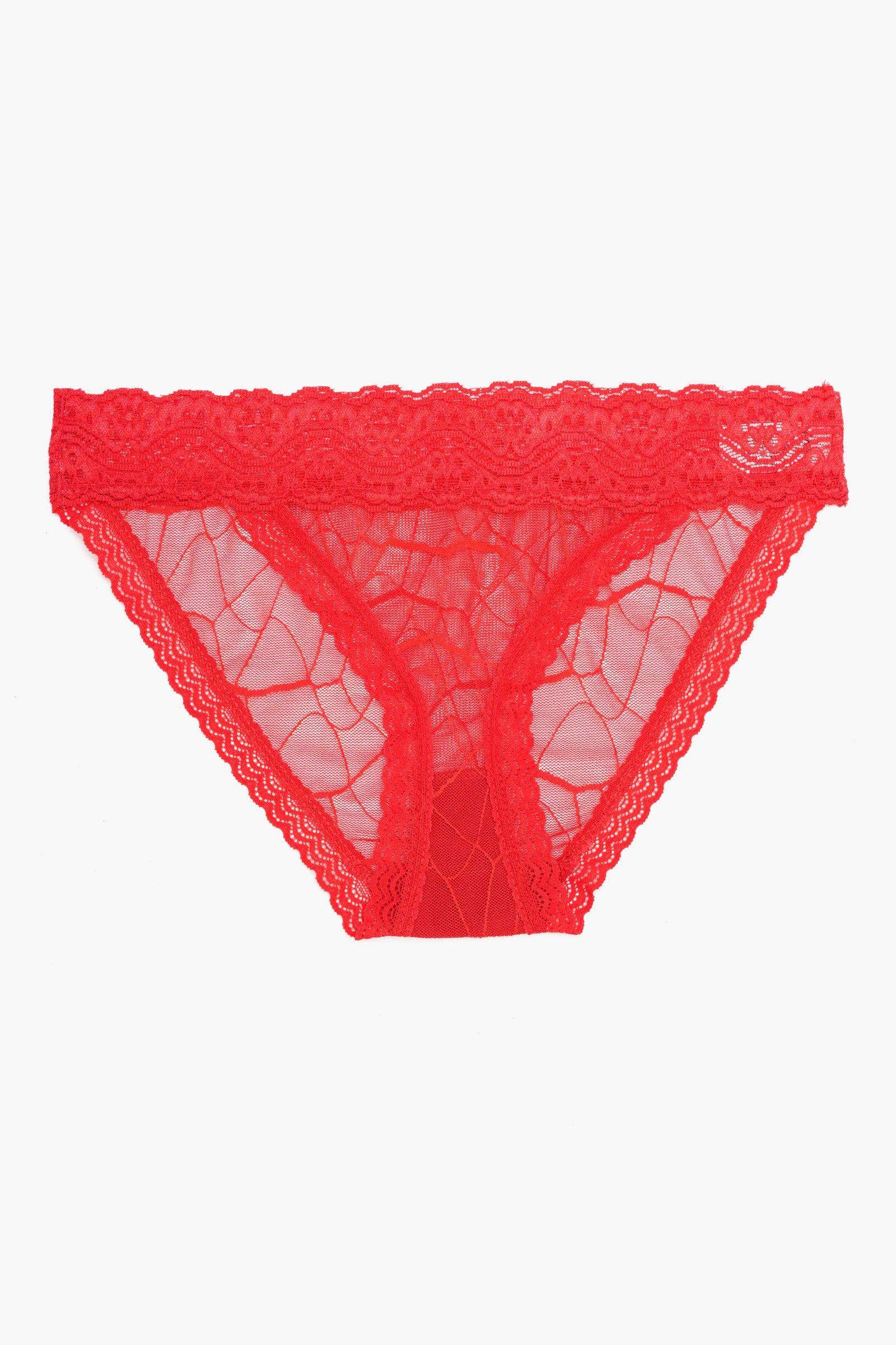 Essential Lace Bikini Panty