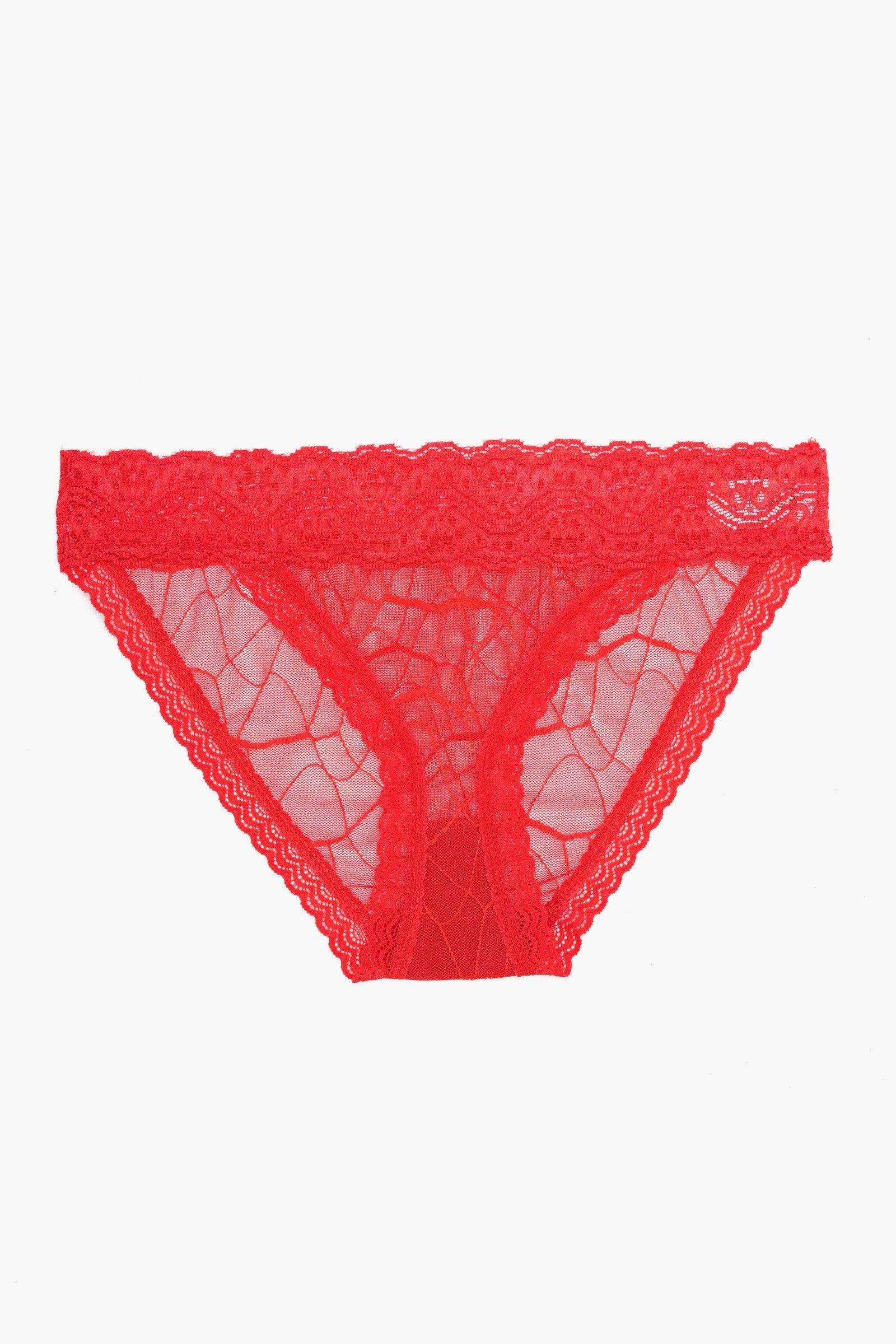 Essential Lace Bikini Panty
