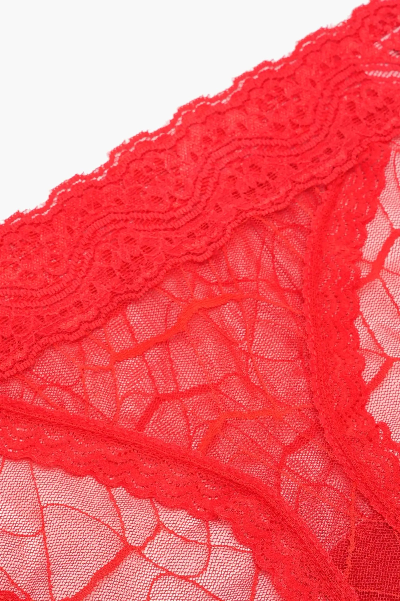 Essential Lace Bikini Panty