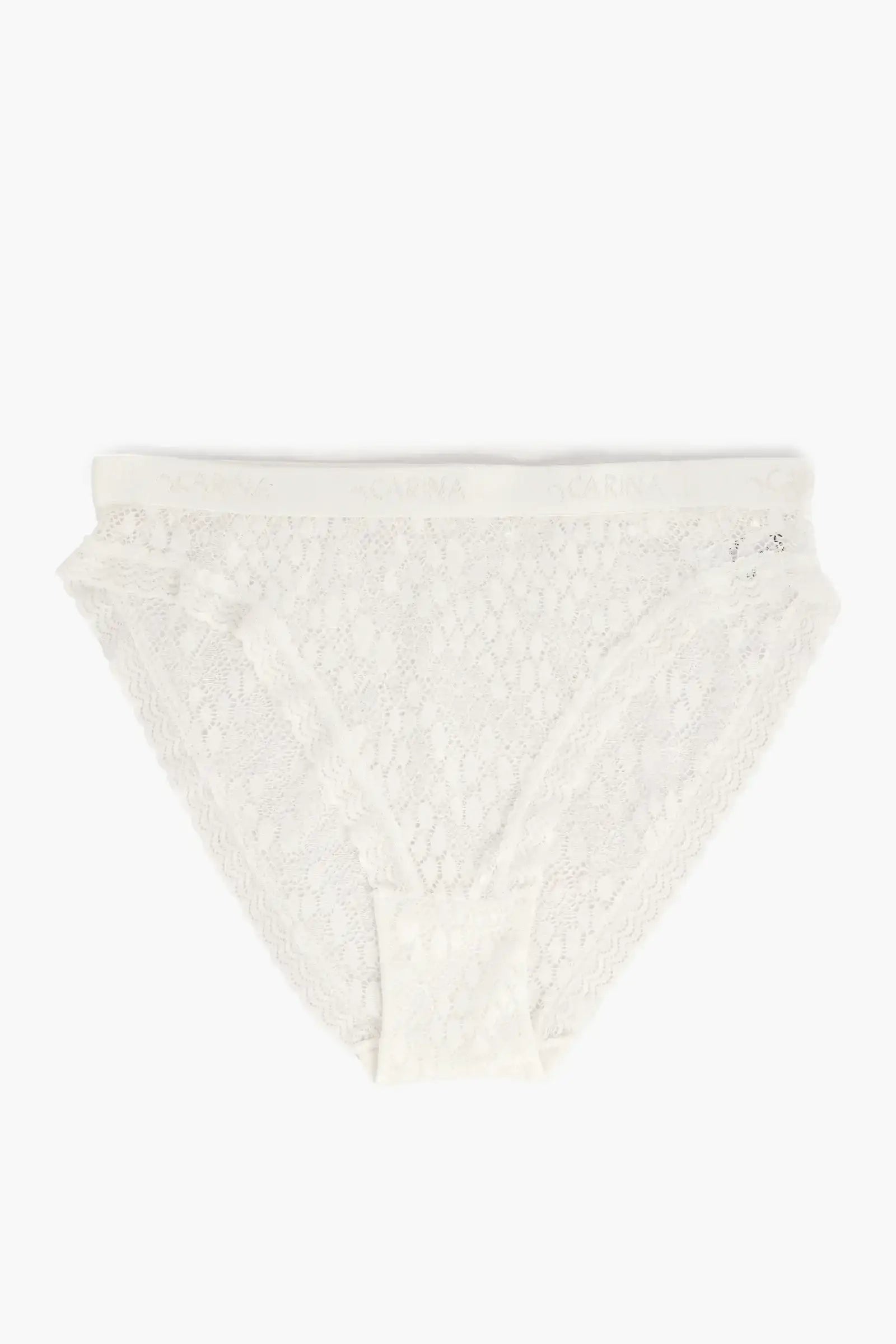Elegance Lace Brief Panty