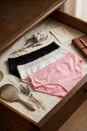 Pack of 3 Colored Brief Panties