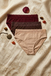 Pack of 3 Colored Brief Panties