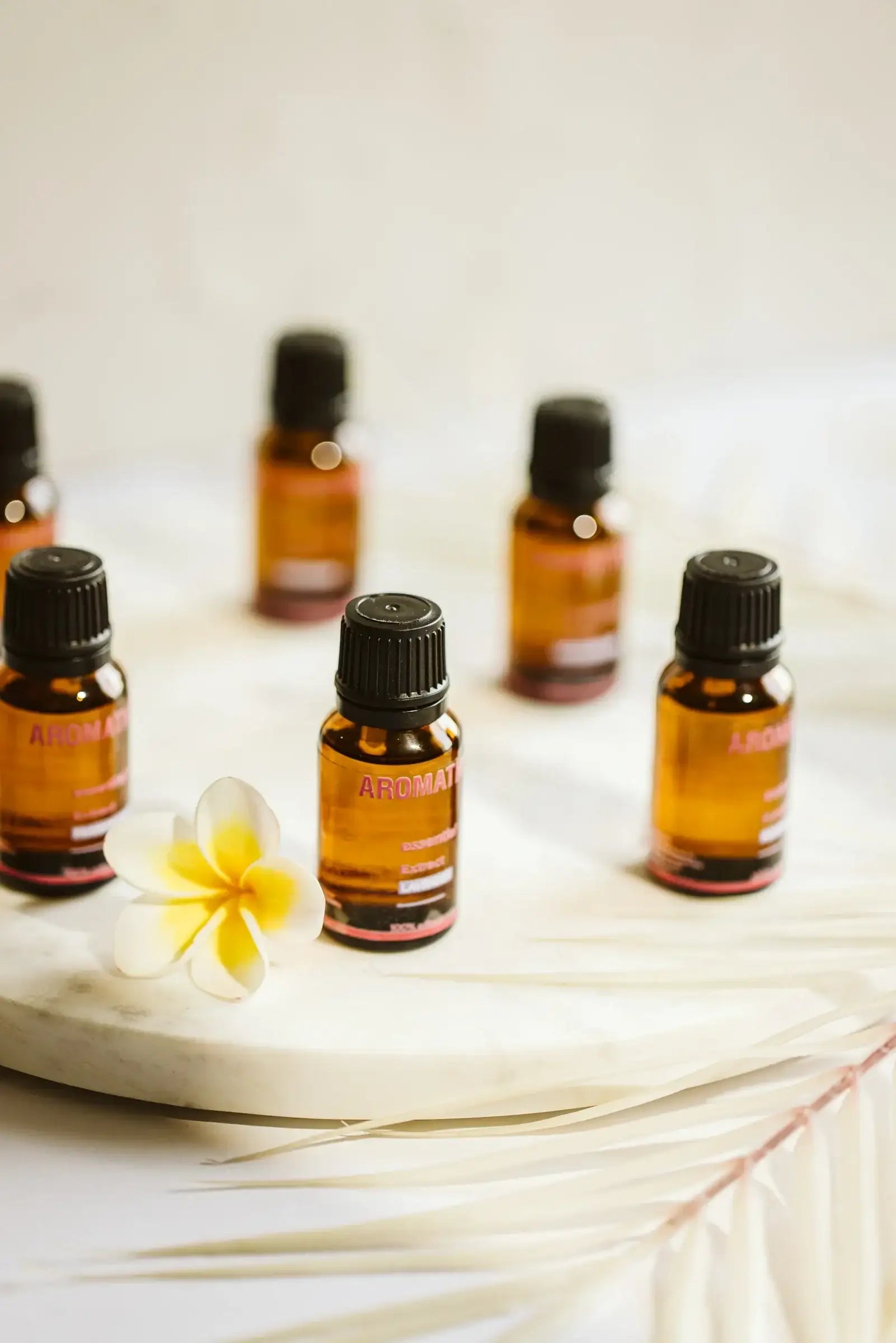 زيت اللافندر العطري – ١٥ مل