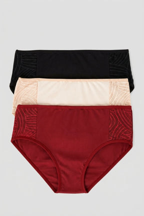 Pack of 3 Colored Brief Panties