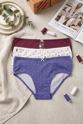 Pack of 3 Colored Brief Panties