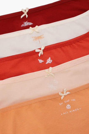 مجموعة من 5 بانتي بريف ملون