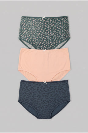 Pack of 3 High Waisted Panties