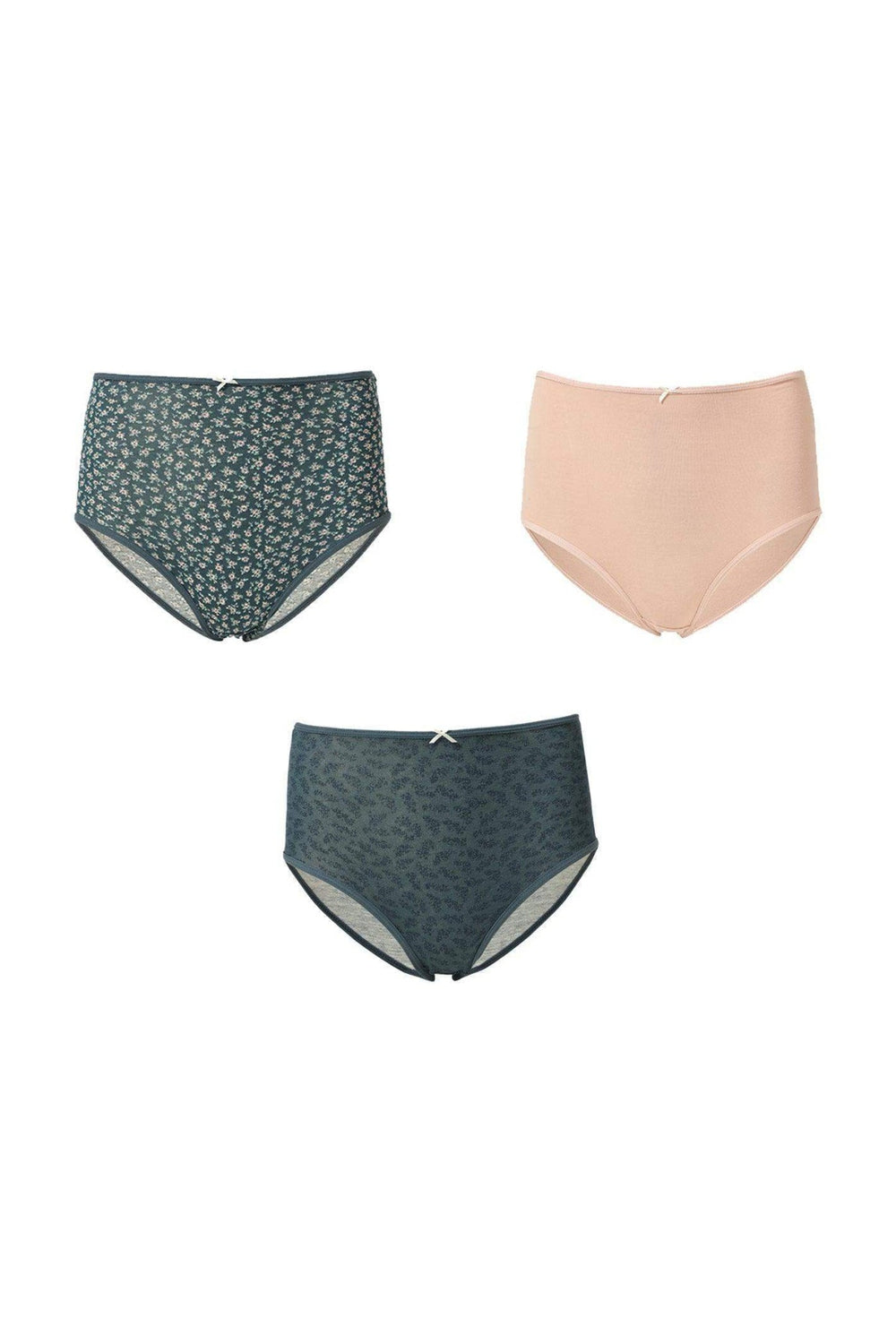 High Waisted Briefs - Pack of 3 - Carina - كارينا