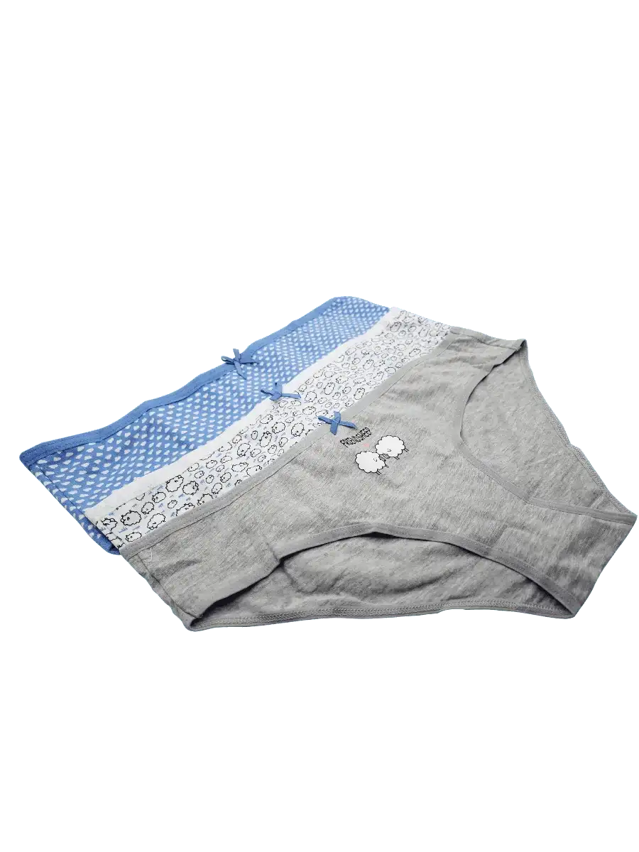 Pack of 3 Bikini Panties - Carina - كارينا