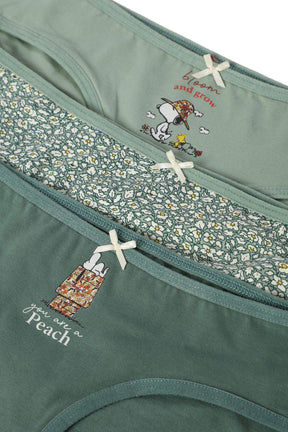 Pack of 3 Cotton Bikini Panties - Carina - كارينا