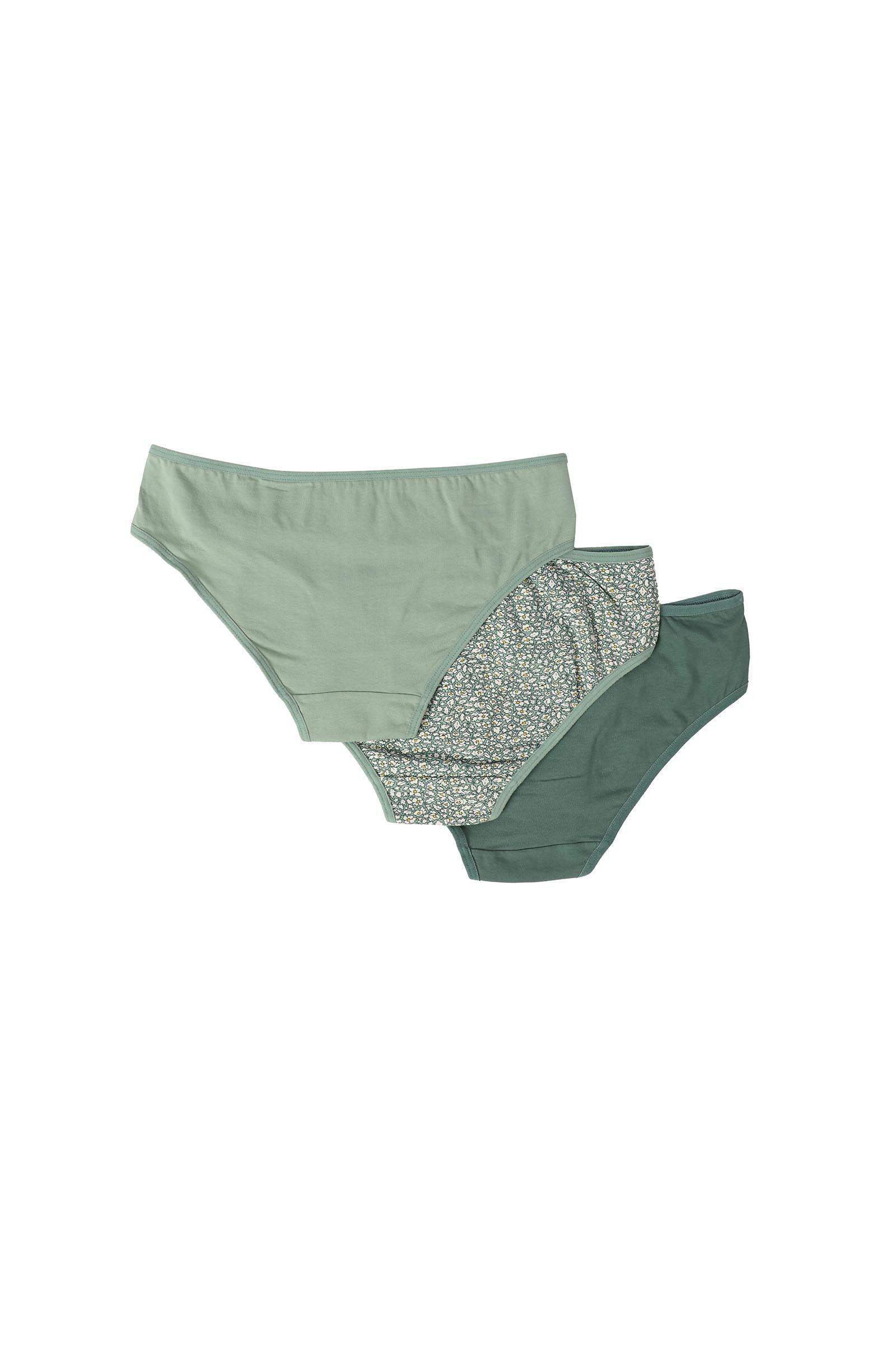 Pack of 3 Cotton Bikini Panties - Carina - كارينا