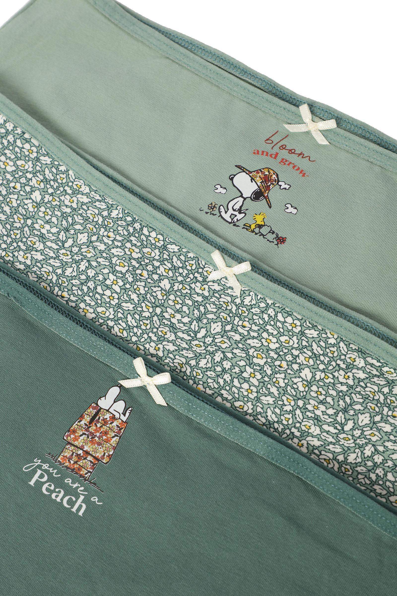 Pack of 3 Cotton Full Brief - Carina - كارينا