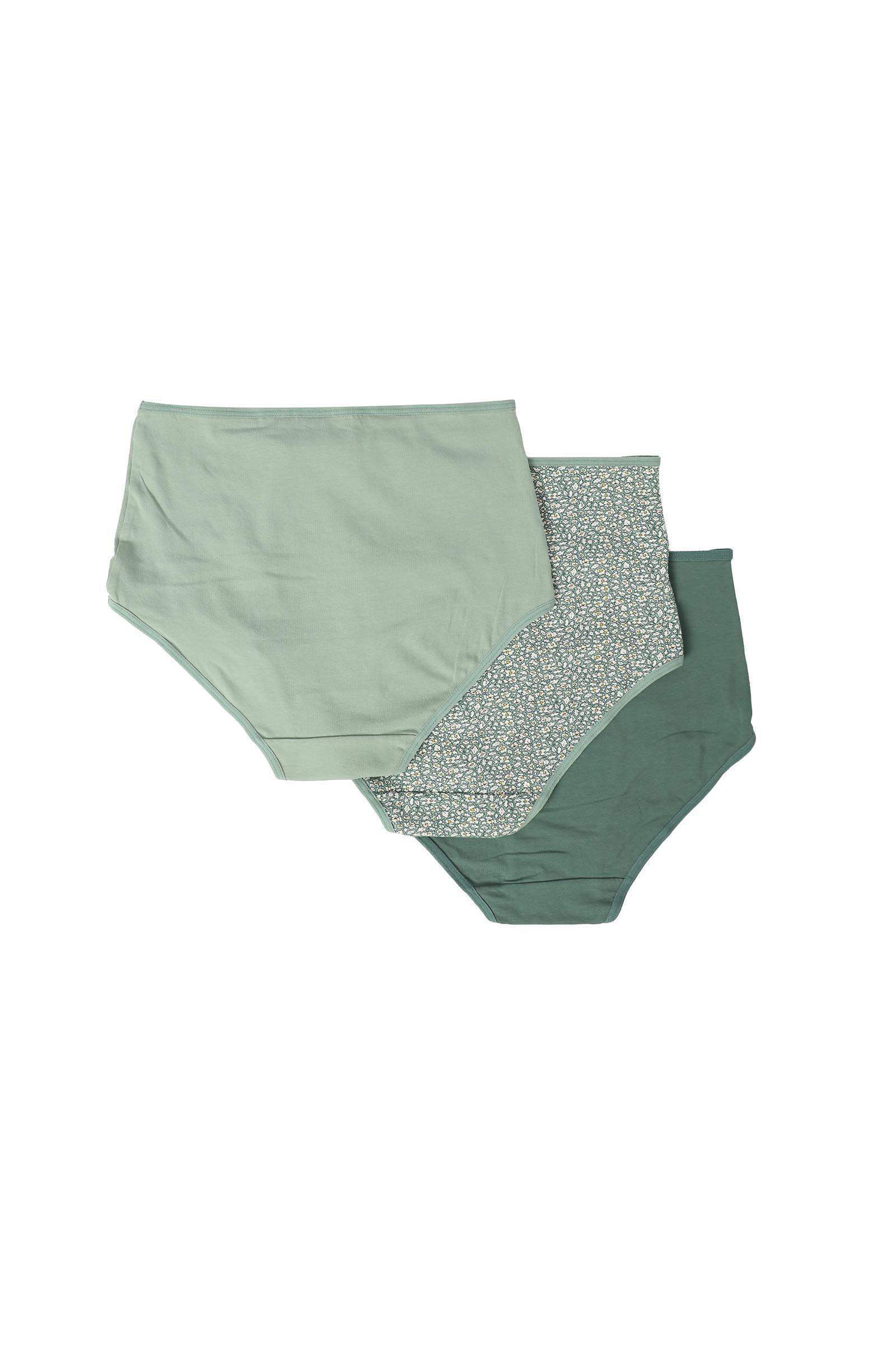Pack of 3 Cotton Full Brief - Carina - كارينا